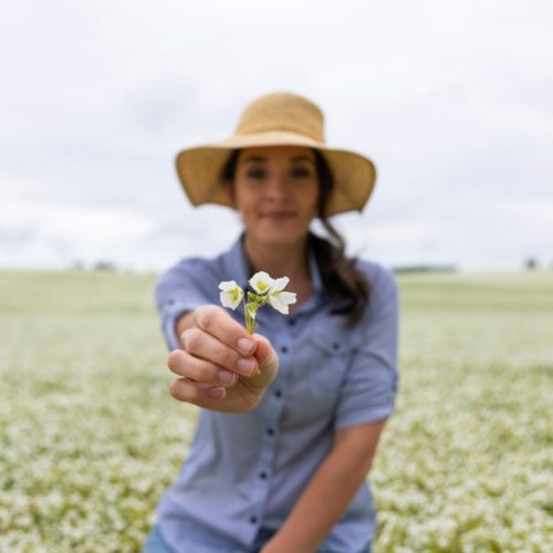 Our secret to soft, radiant hair: meadowfoam seed oil