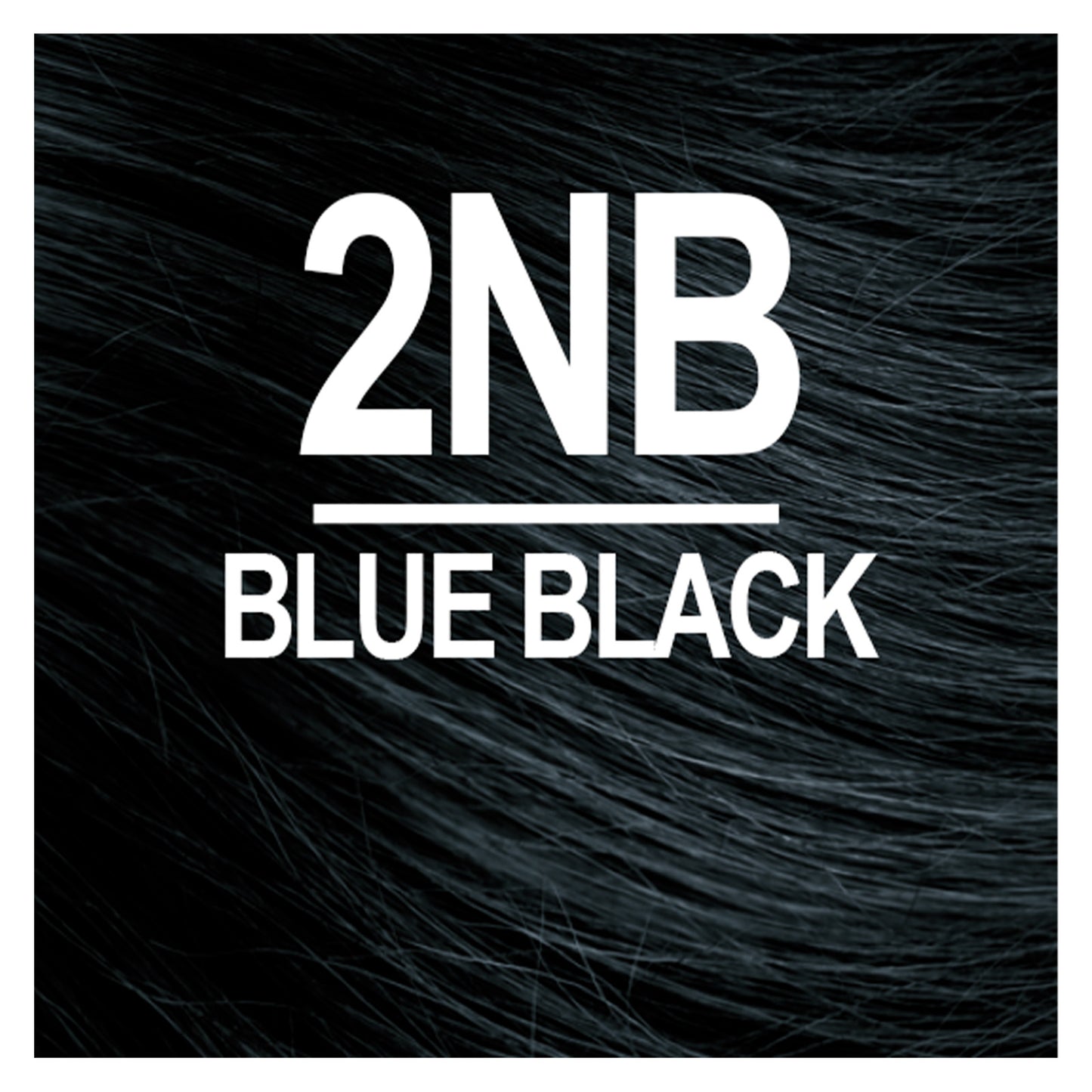 Naturtint Permanent Hair Color 2NB Blue Black (Packaging may vary)