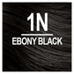 Naturtint Permanent Hair Color 1N Ebony Black (Packaging may vary)