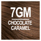 Naturtint Permanent Hair Color 7GM Chocolate Caramel (Packaging may vary)