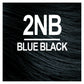 Naturtint Permanent Hair Color 2NB Blue Black (Packaging may vary)